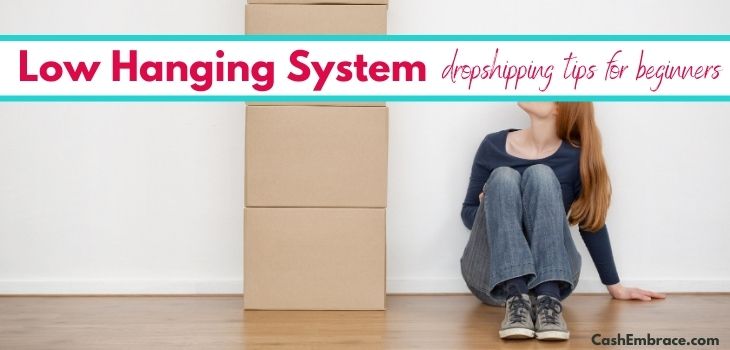 Low Hanging System Review – Master The Dropshipping (In A Week!)