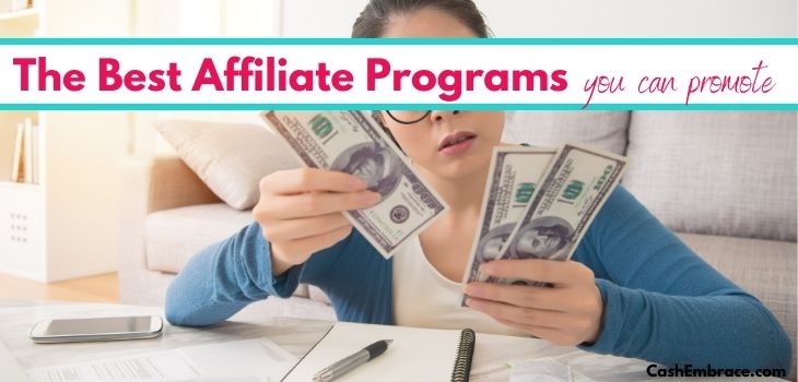 the best affiliate programs to promote in the highest paying affiliate niches
