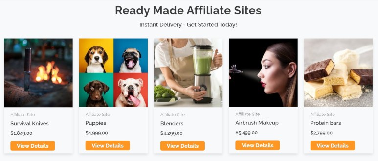 pre-made affiliate websites 